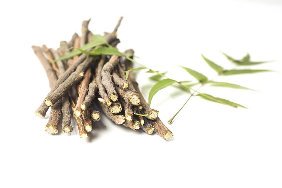 What is Ayurveda and how does it benefit your holistic health?
