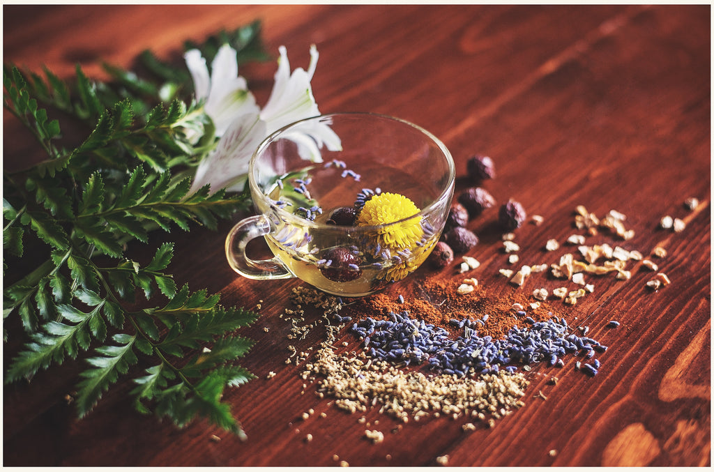 84 popular wellness herbs and their health benefits!