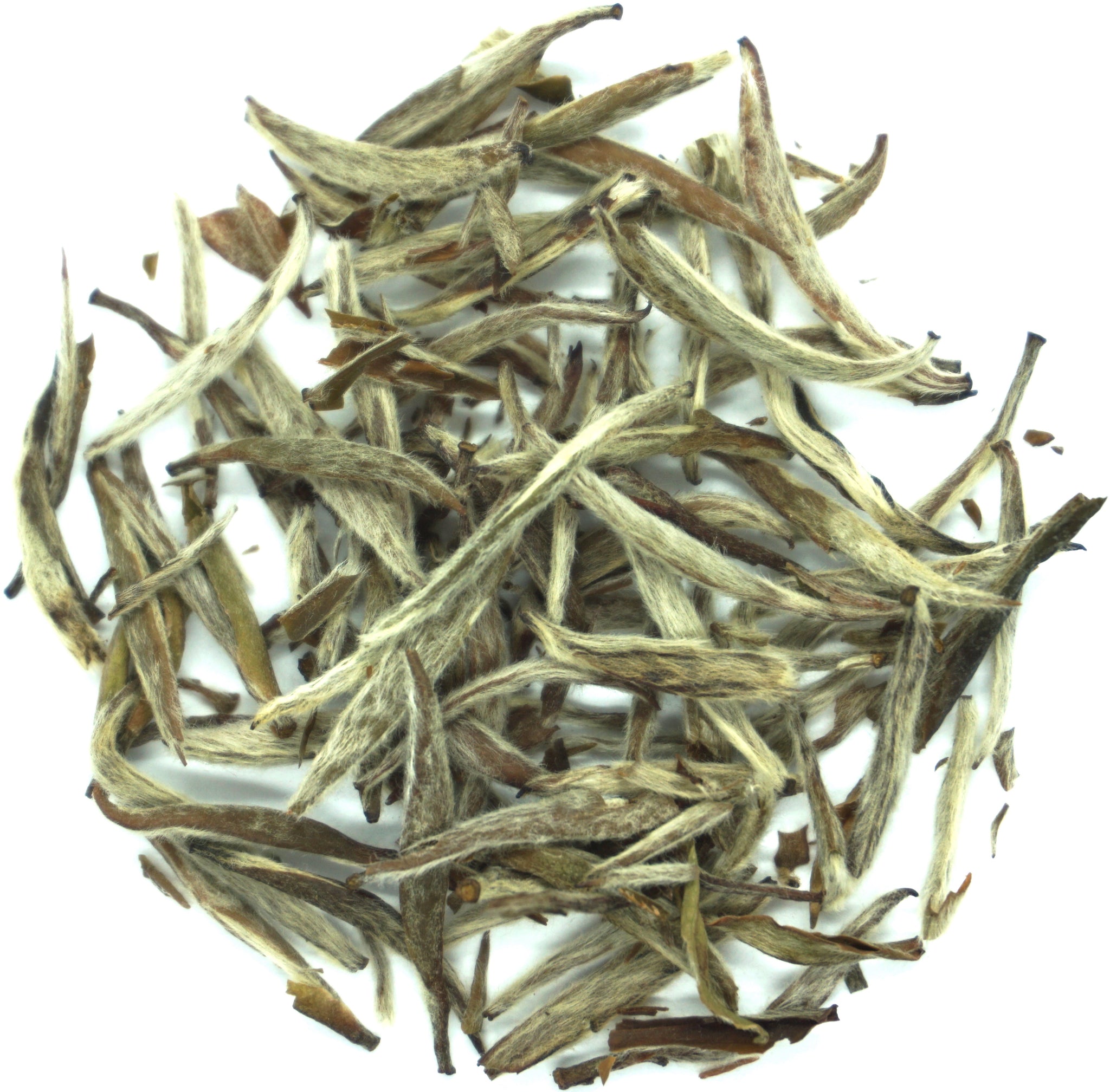 Organic Imperial Silver Needle White Tea